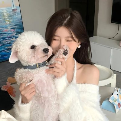 住在海边的猫头鹰